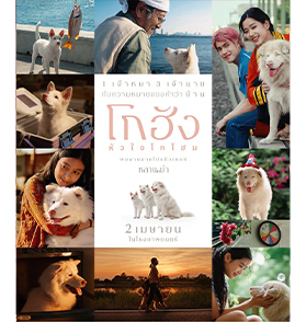 โกฮัง..หัวใจโกโฮม : เรื่องราวการผจญภัยของน้องหมา กับยิ้มทั้งน้ำตาที่มีอยู่จริง | Film to Watch Short Review